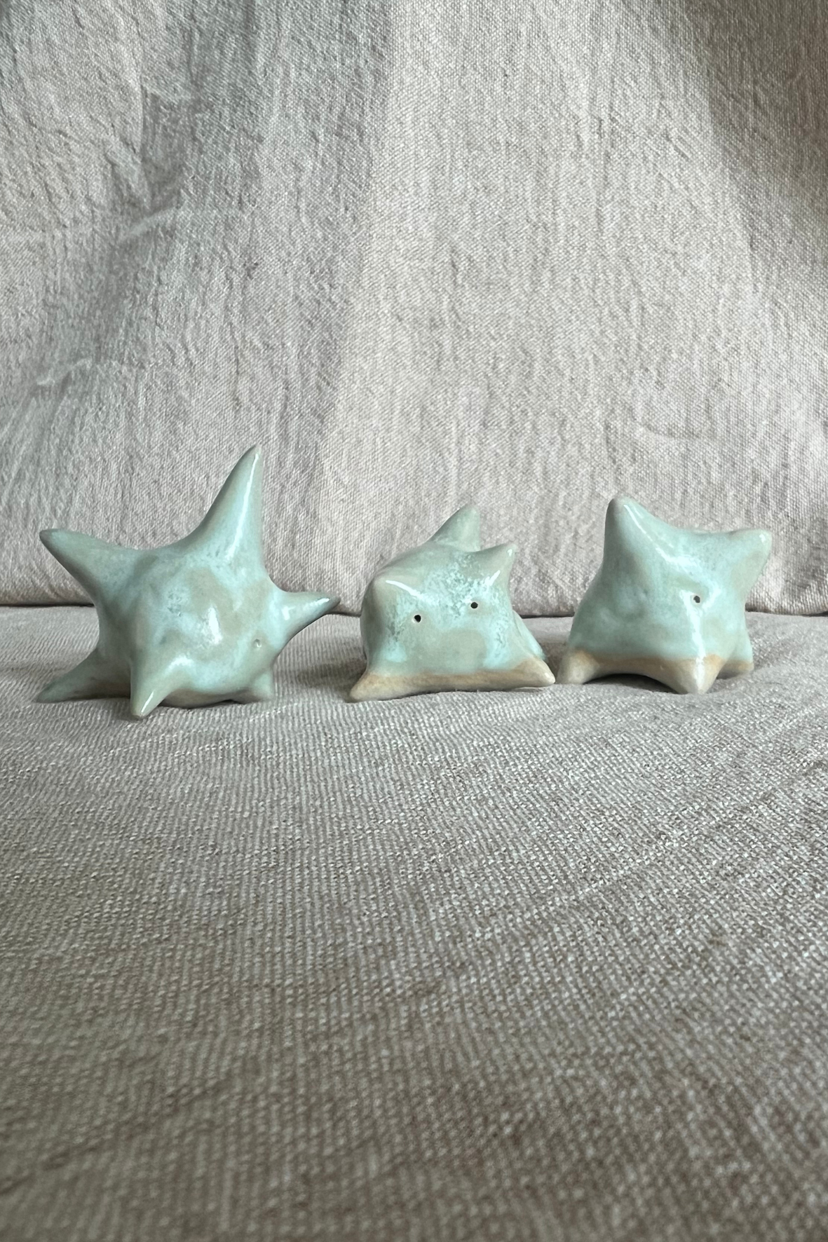 Desk Pals ₍ᐢ._.ᐢ₎♡ ༘