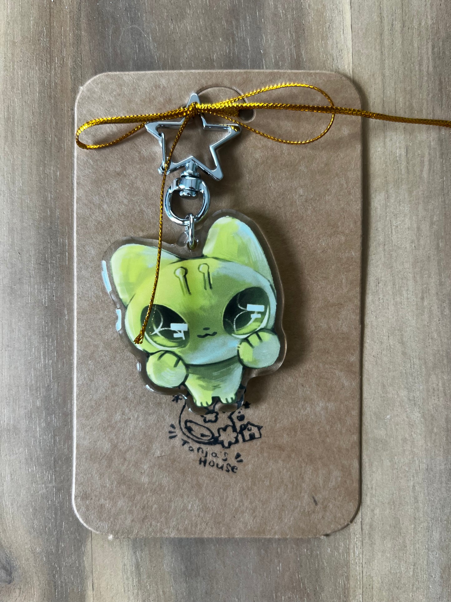 Lucky keychain ⋅˚₊‧ ୨୧ ⋅𓍢ִ໋✧˚ ༘ ⋆