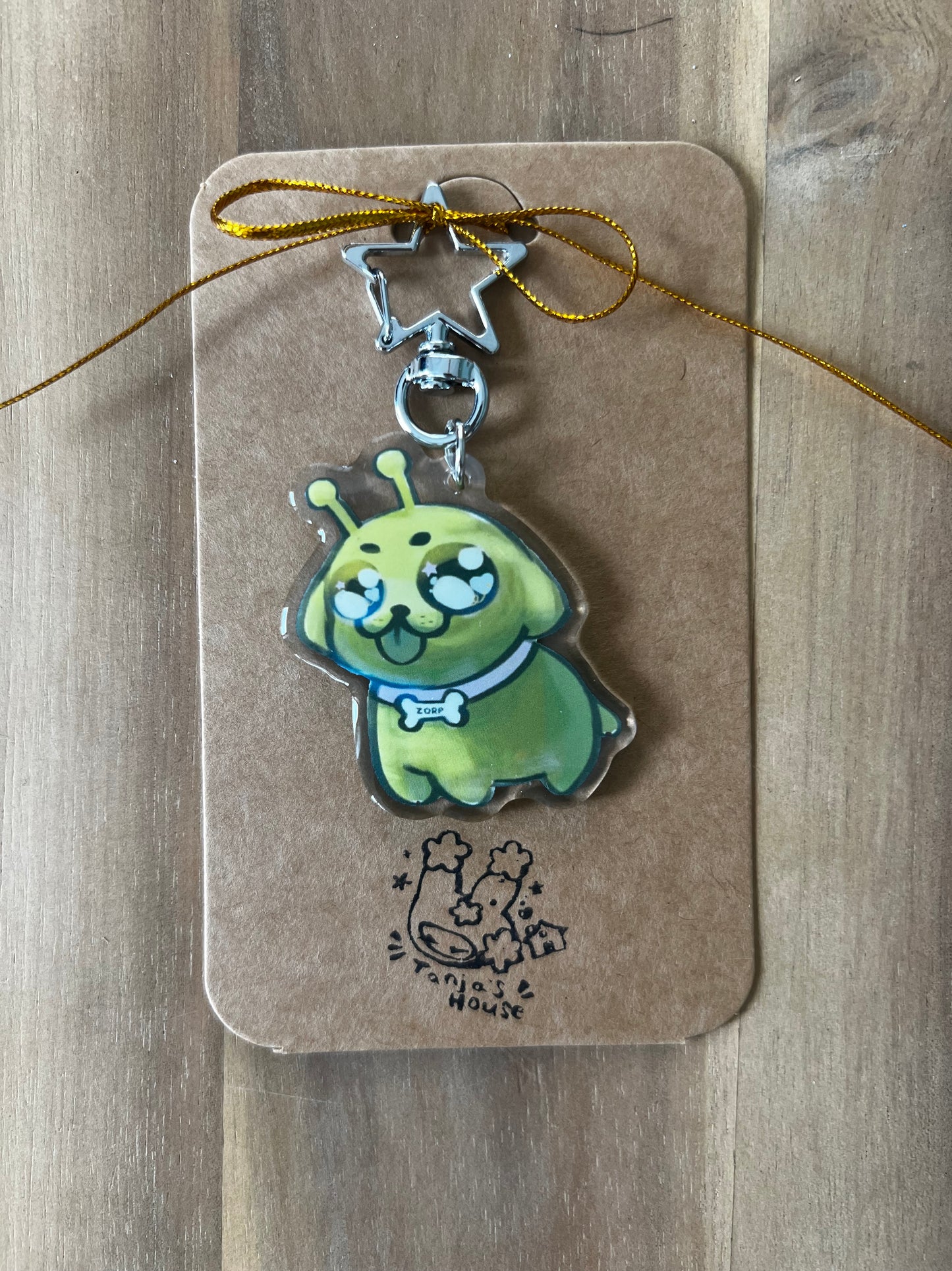 Lucky keychain ⋅˚₊‧ ୨୧ ⋅𓍢ִ໋✧˚ ༘ ⋆